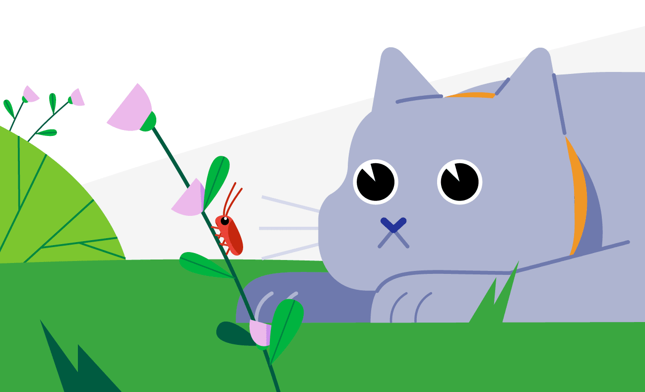 illustration of cat laying in the grass, carefully watching bug climbing the flower